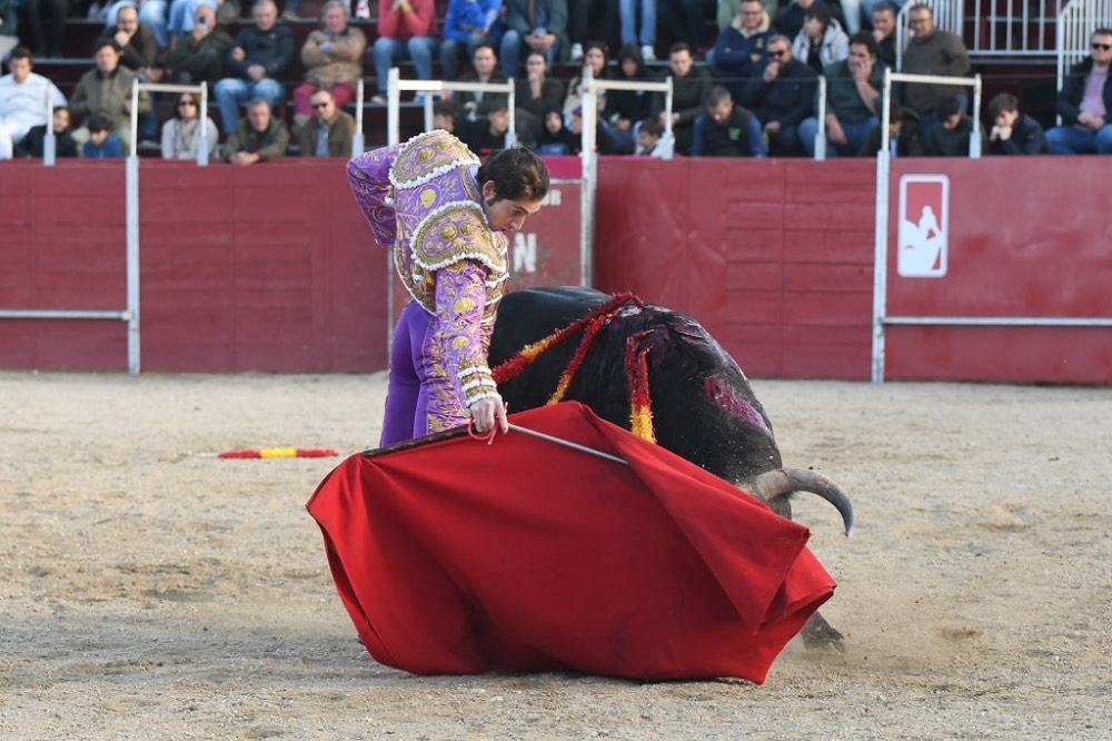 Imagen 2