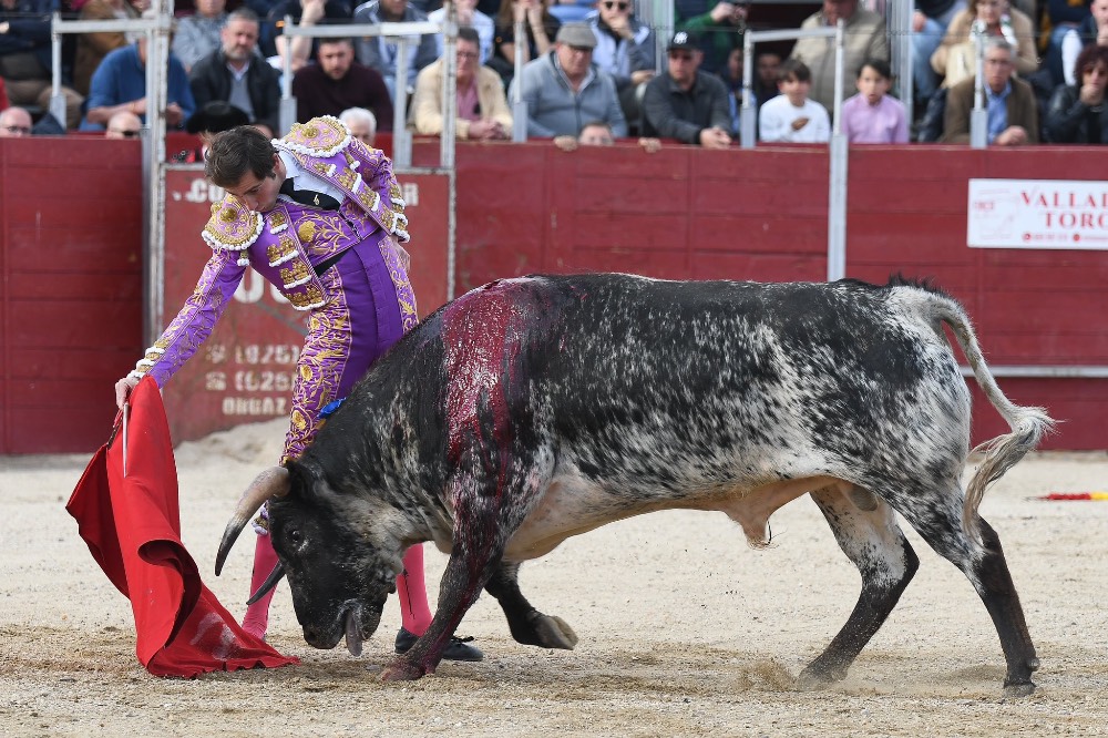 Imagen 5
