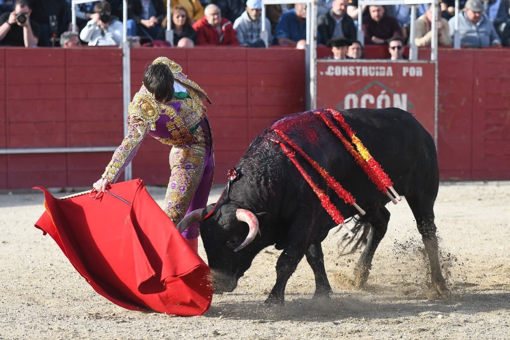 Imagen 6