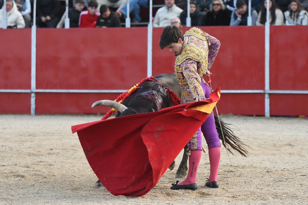 Imagen 7