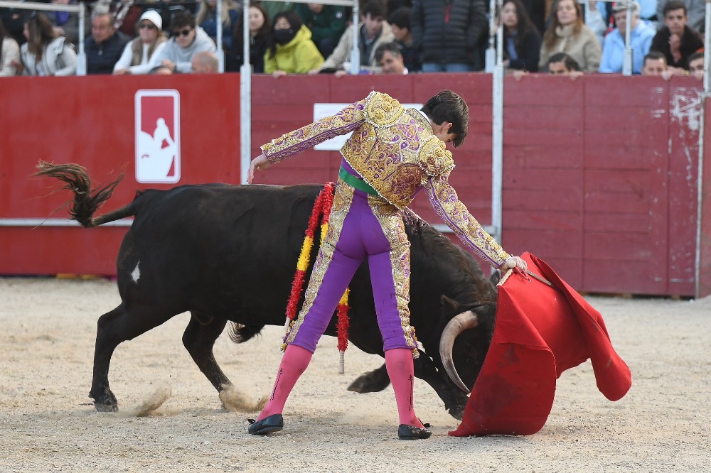 Imagen 8