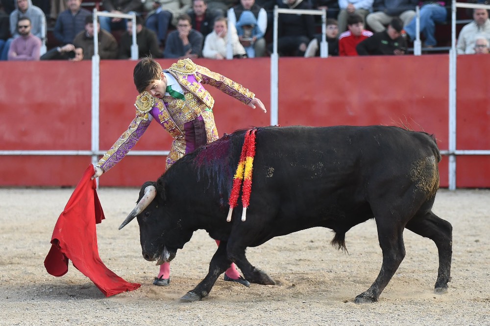 Imagen 9