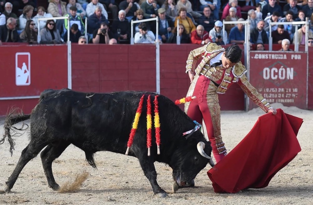 Imagen 10