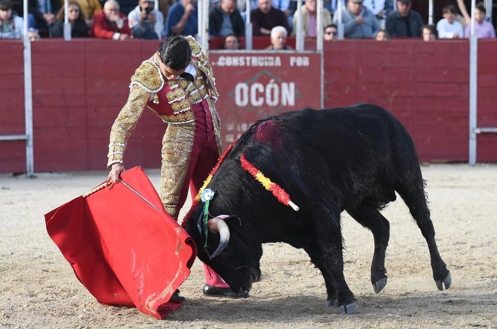 Imagen 11