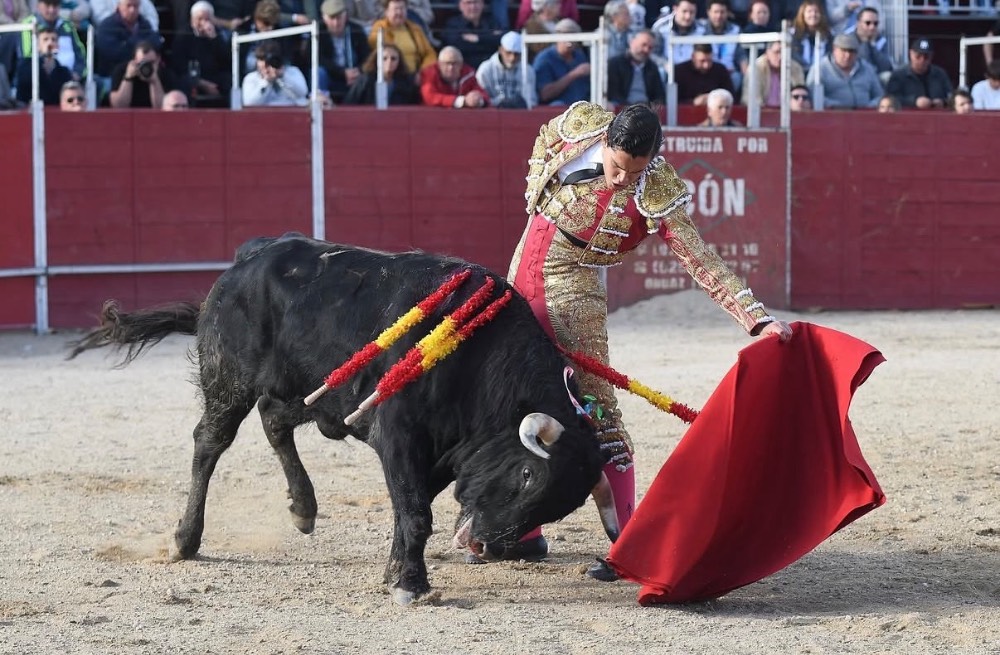 Imagen 12