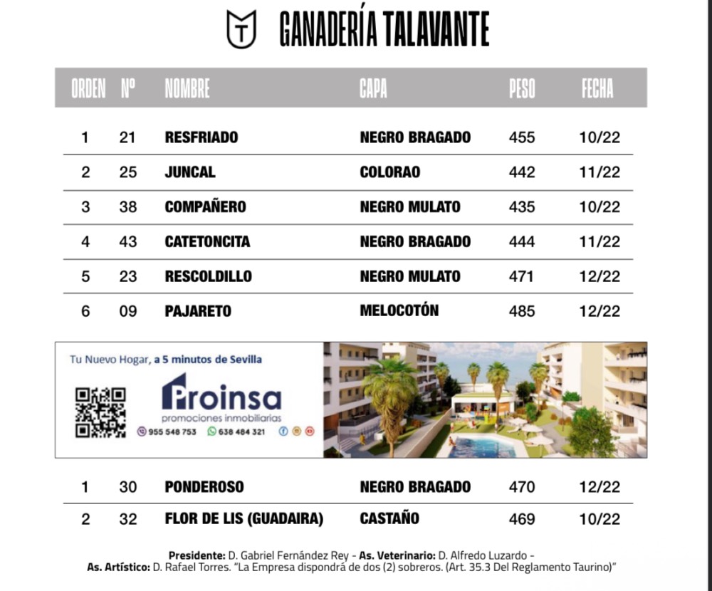 Imagen 5