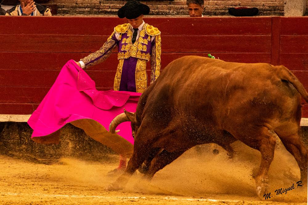 Imagen 5