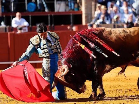 Perera y la verdad del toreo: cuando el triunfo depende del toro