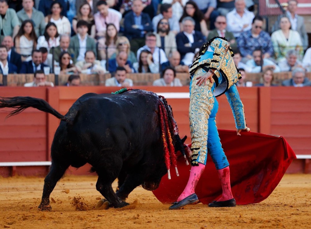 Imagen 2