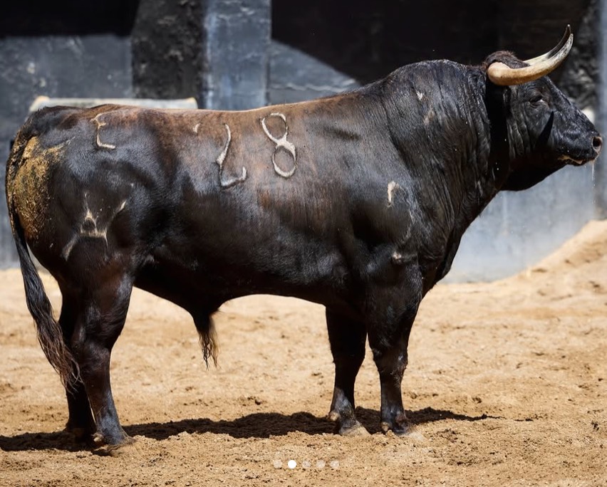 Imagen 7