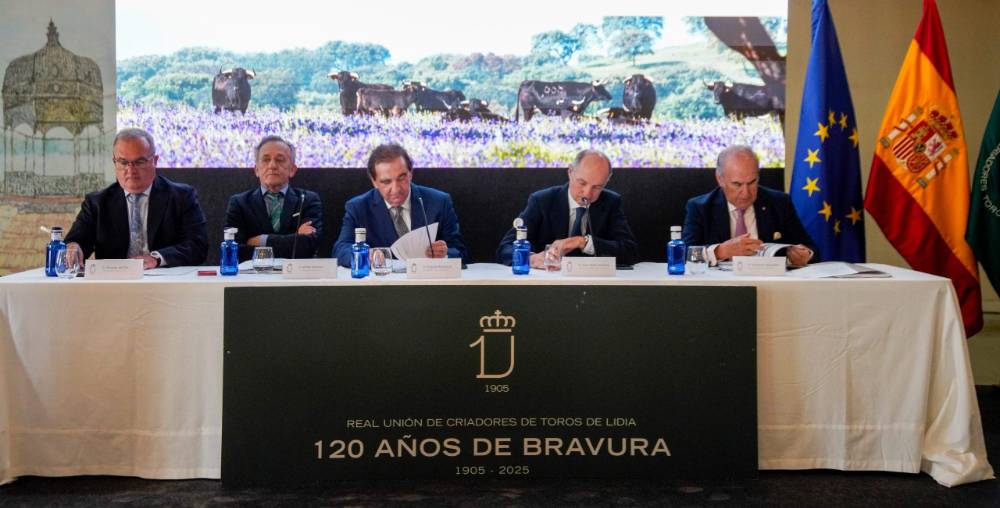 Imagen 12
