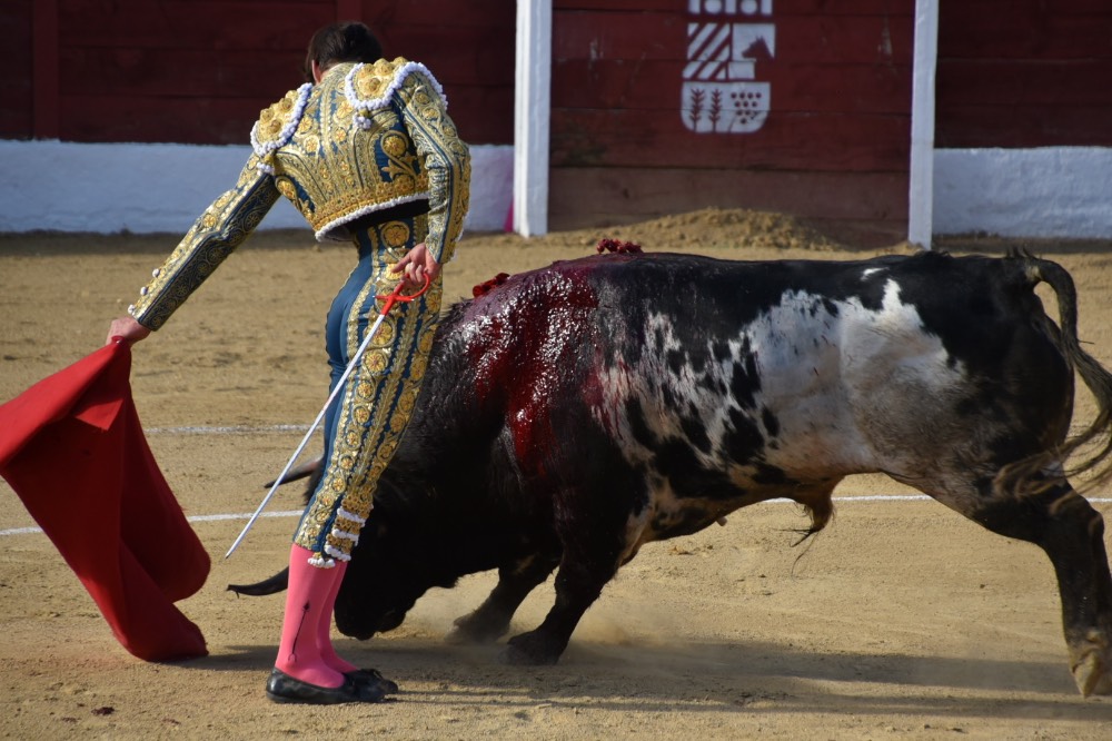 Imagen 1
