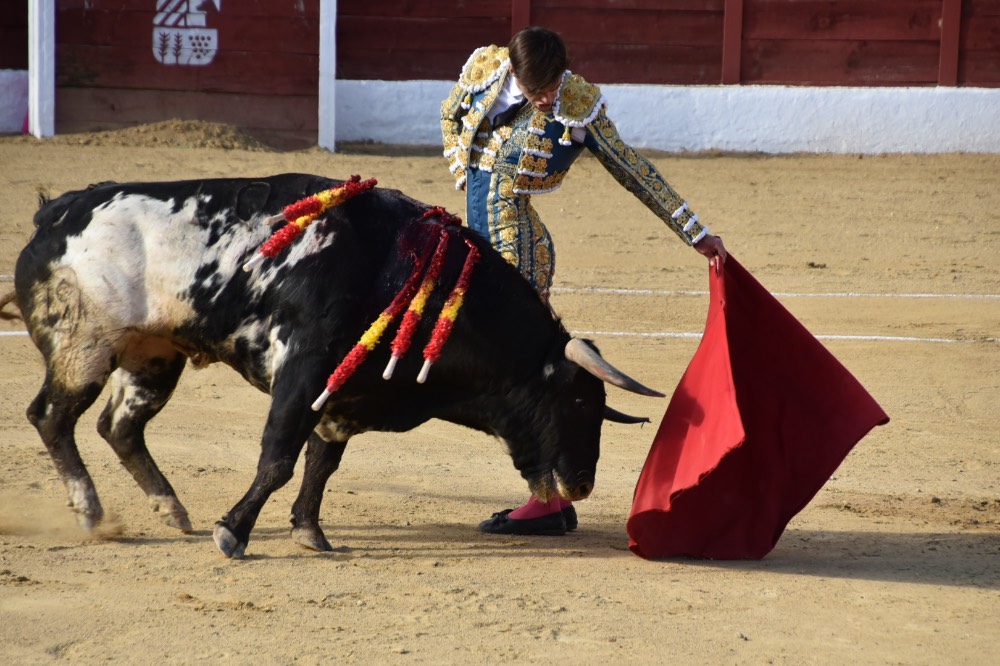 Imagen 2