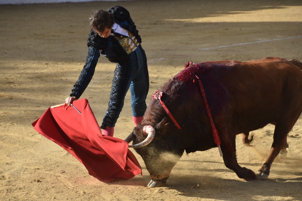 Imagen 3