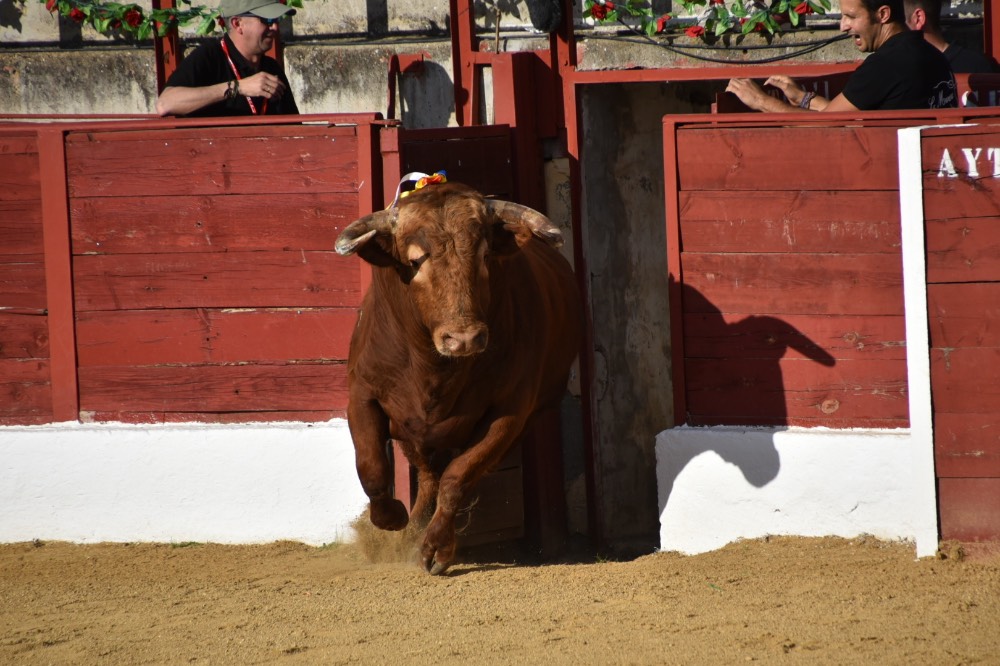Imagen 4