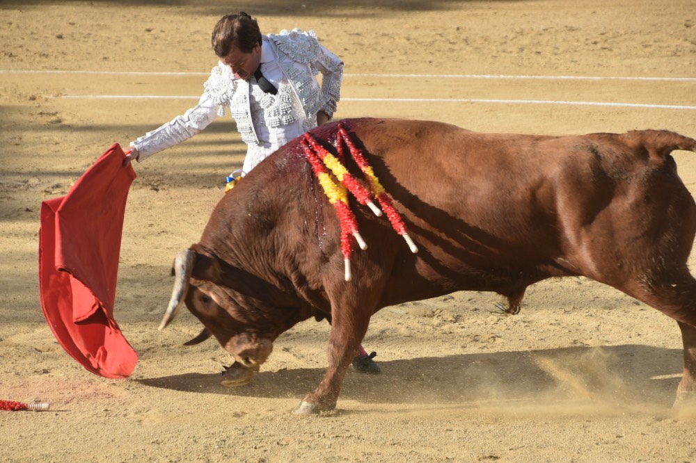 Imagen 5