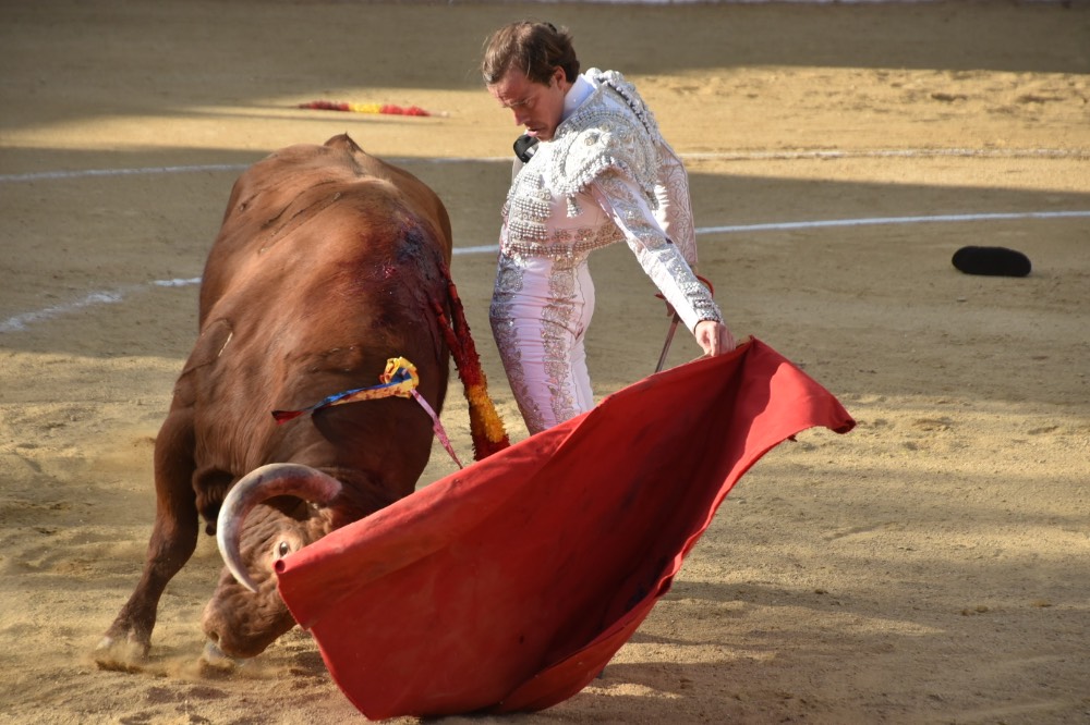 Imagen 6