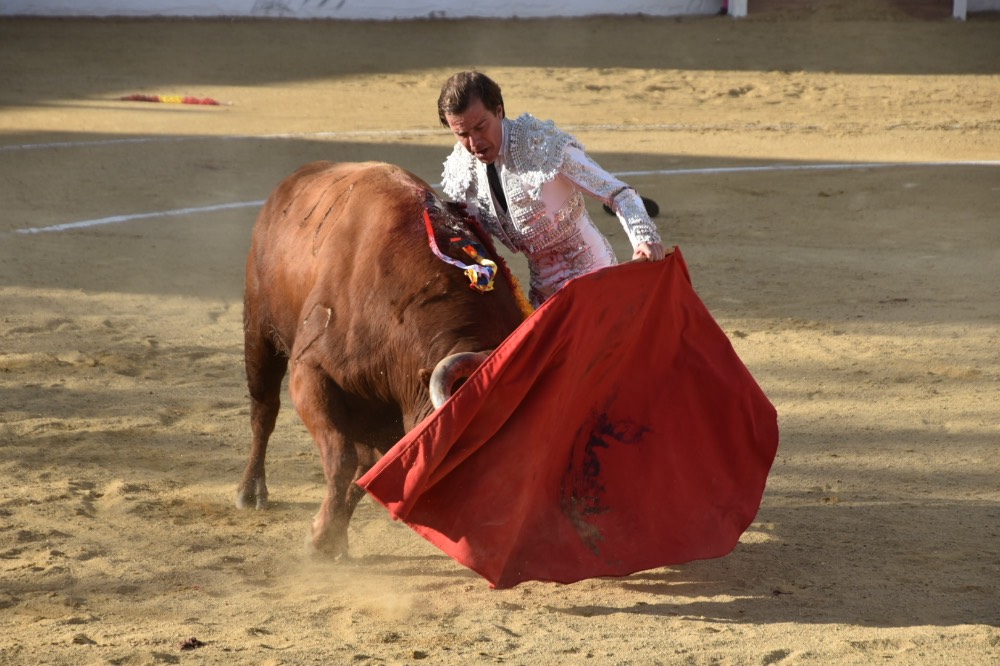 Imagen 7