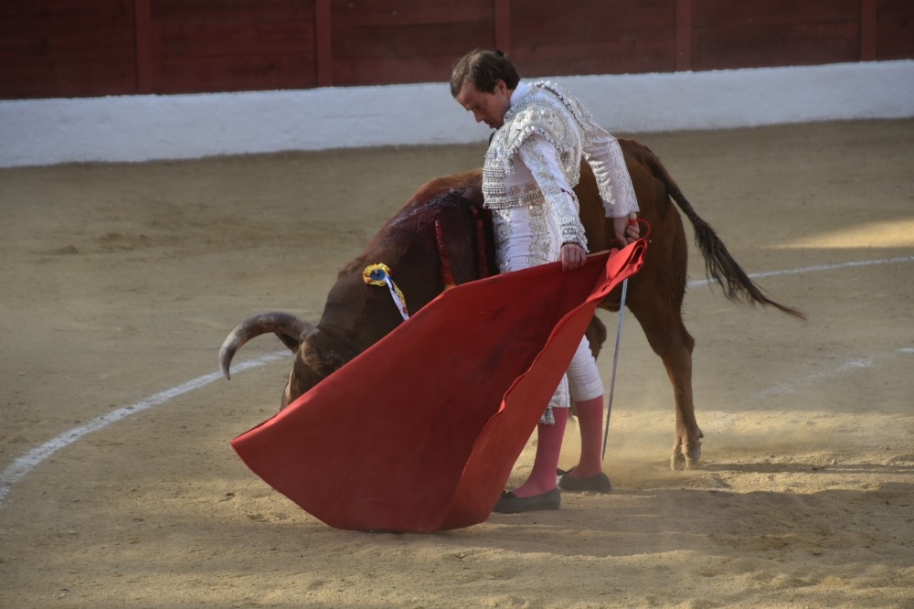 Imagen 8