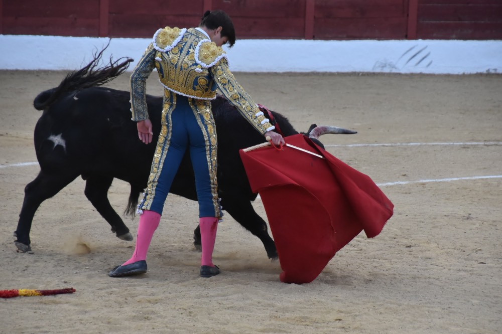 Imagen 9