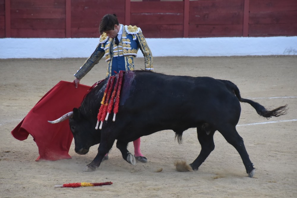 Imagen 10