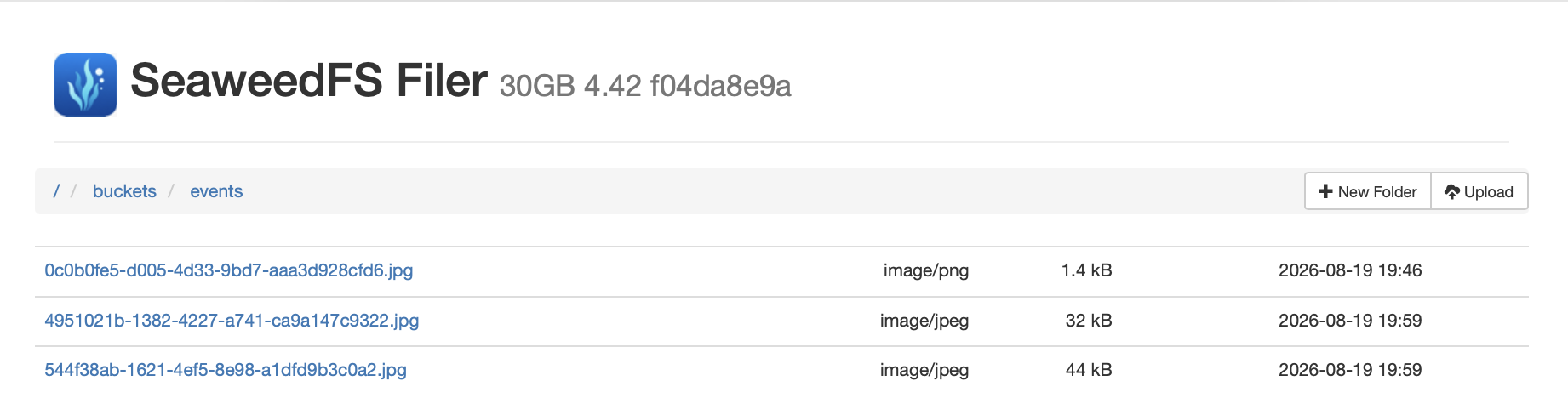 SeaweedFS Filer showing event image objects