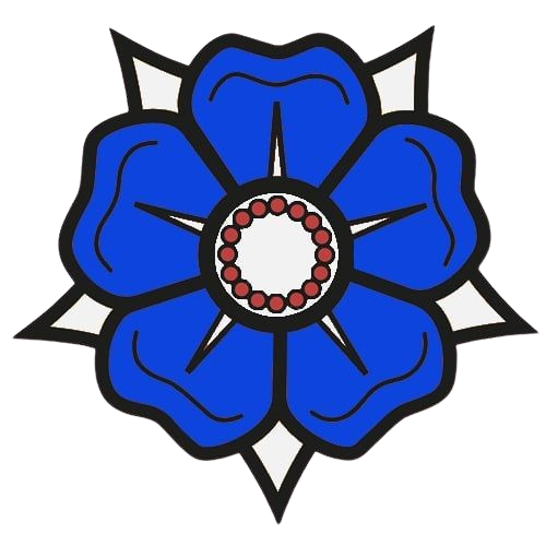 Project logo: a blue five-petal rose with a white centre ringed by red beads, on a star of white points