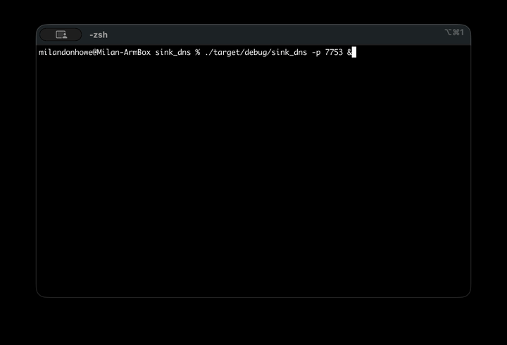 cli gif of dig queries running against the sinkhole