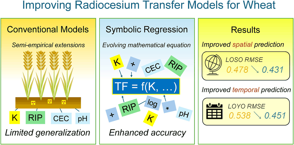 Improvement of spatiotemporal generalization in radiocesium transfer models for wheat using symbolic regression