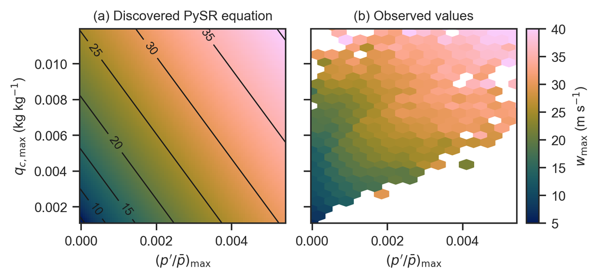 Maximum updraft velocity beyond CAPE: the role of boundary layer dynamics and pressure perturbations