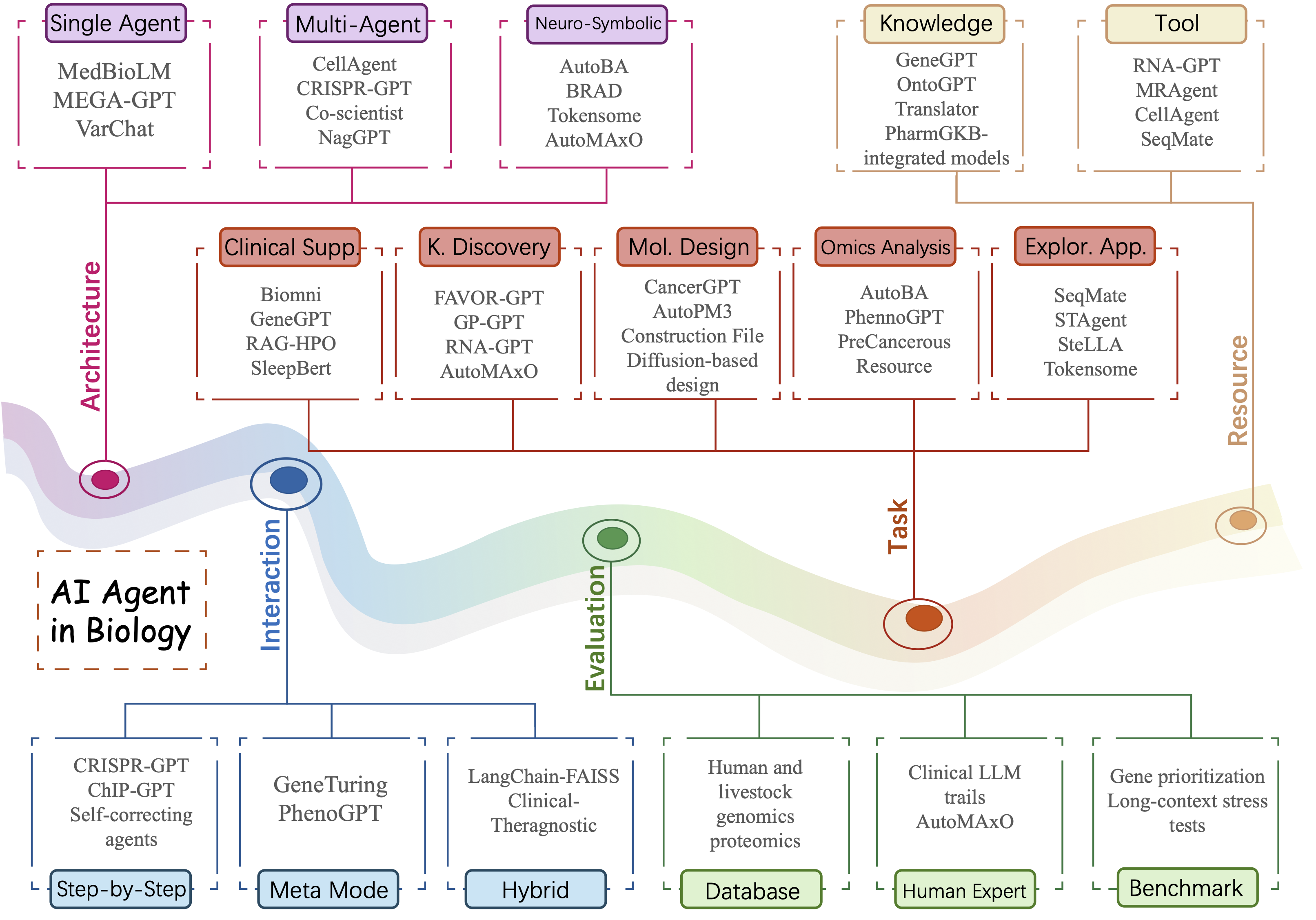 taxonomy