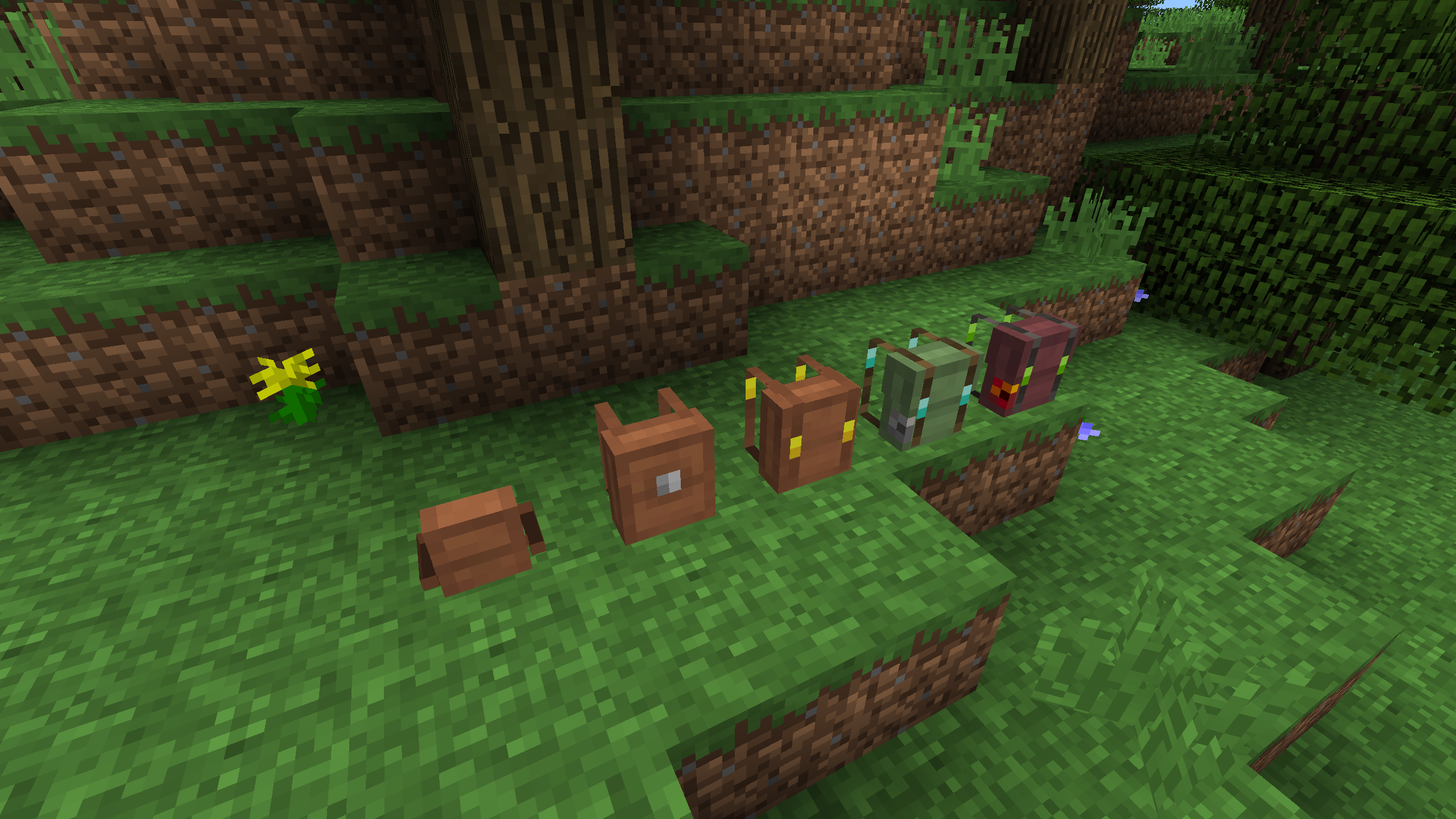 All five backpacks placed in the world