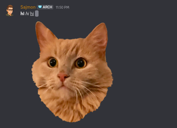 Image posted on Discord
