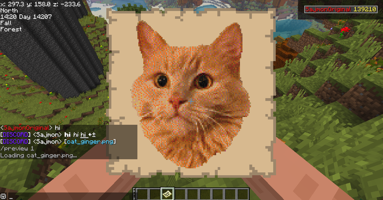 The image held as a map in game