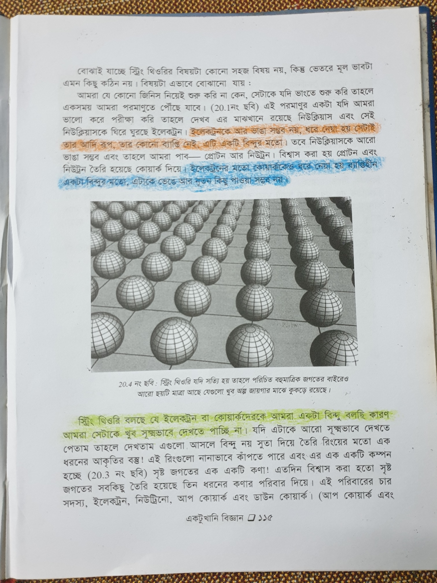 Bengali Sample Image