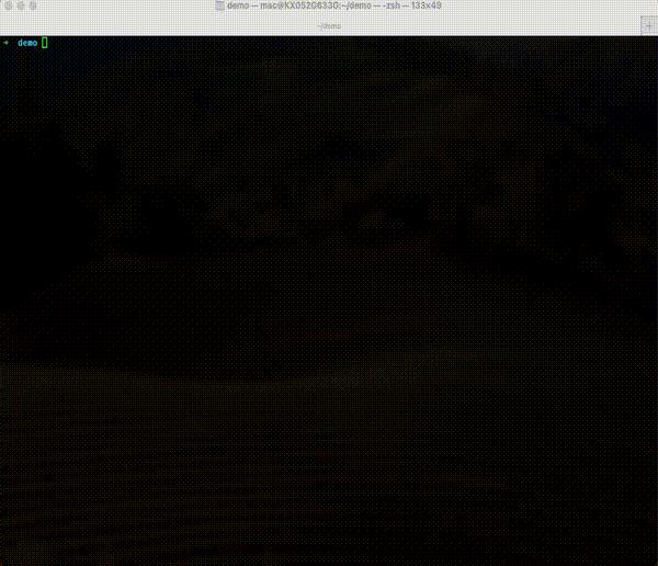 演示 GIF 2：Claude 技能使用