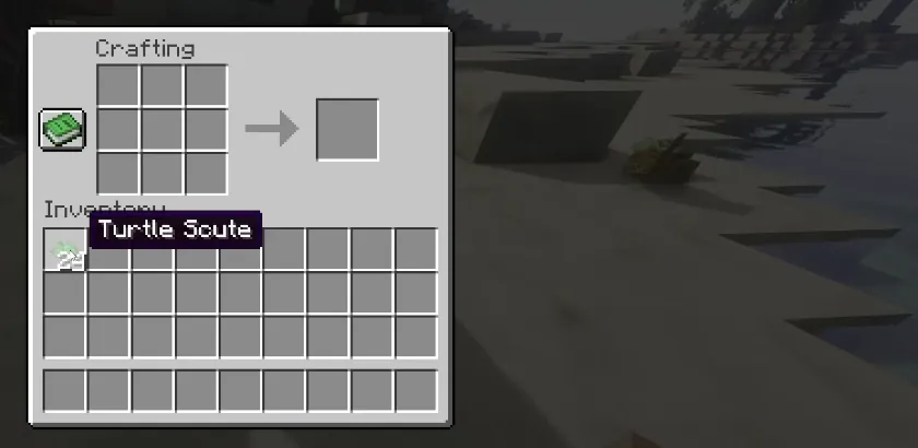 Crafting the turtle set