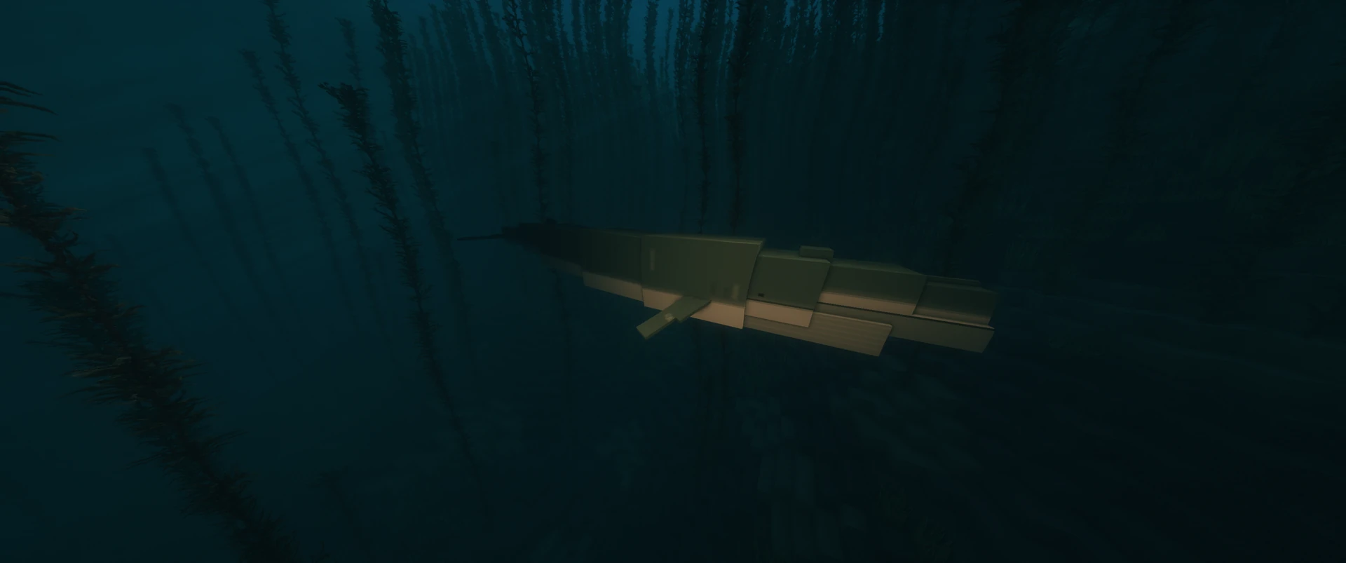A blue whale in the kelp