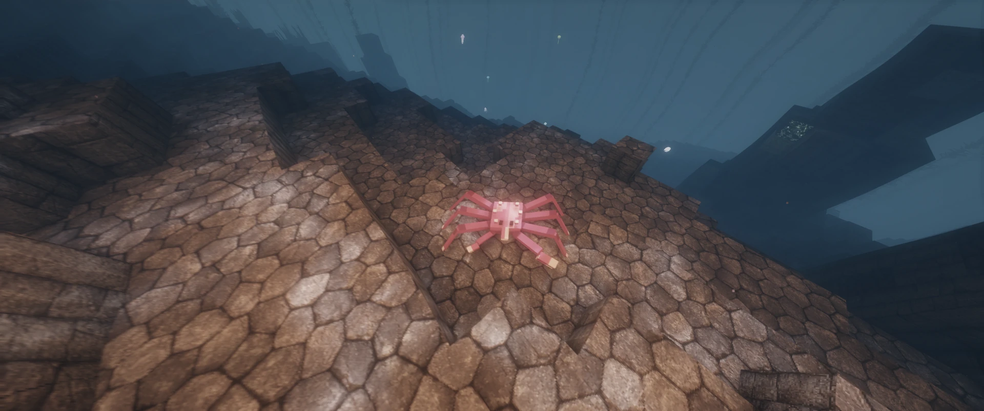 A king crab on basalt