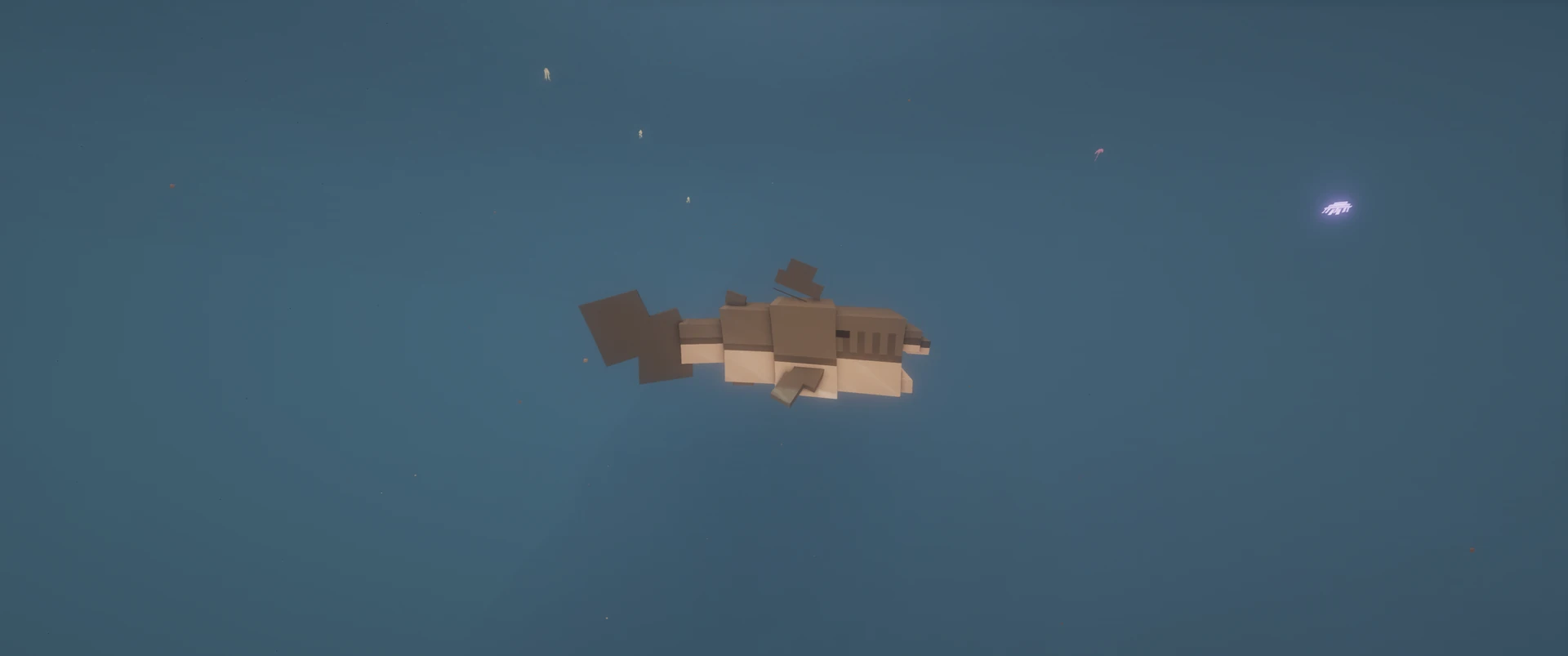 A shark in open water