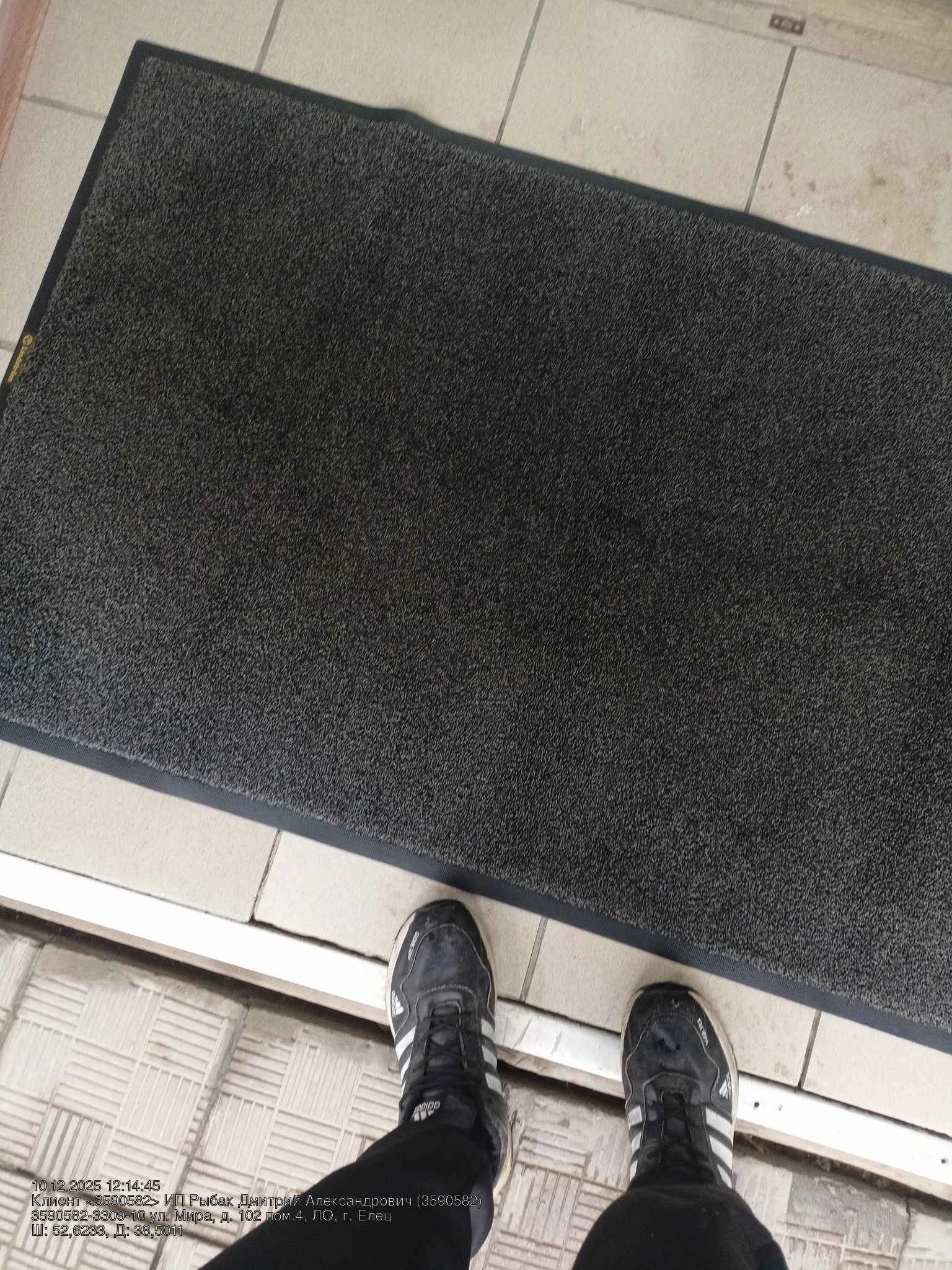 Ковры в администрации