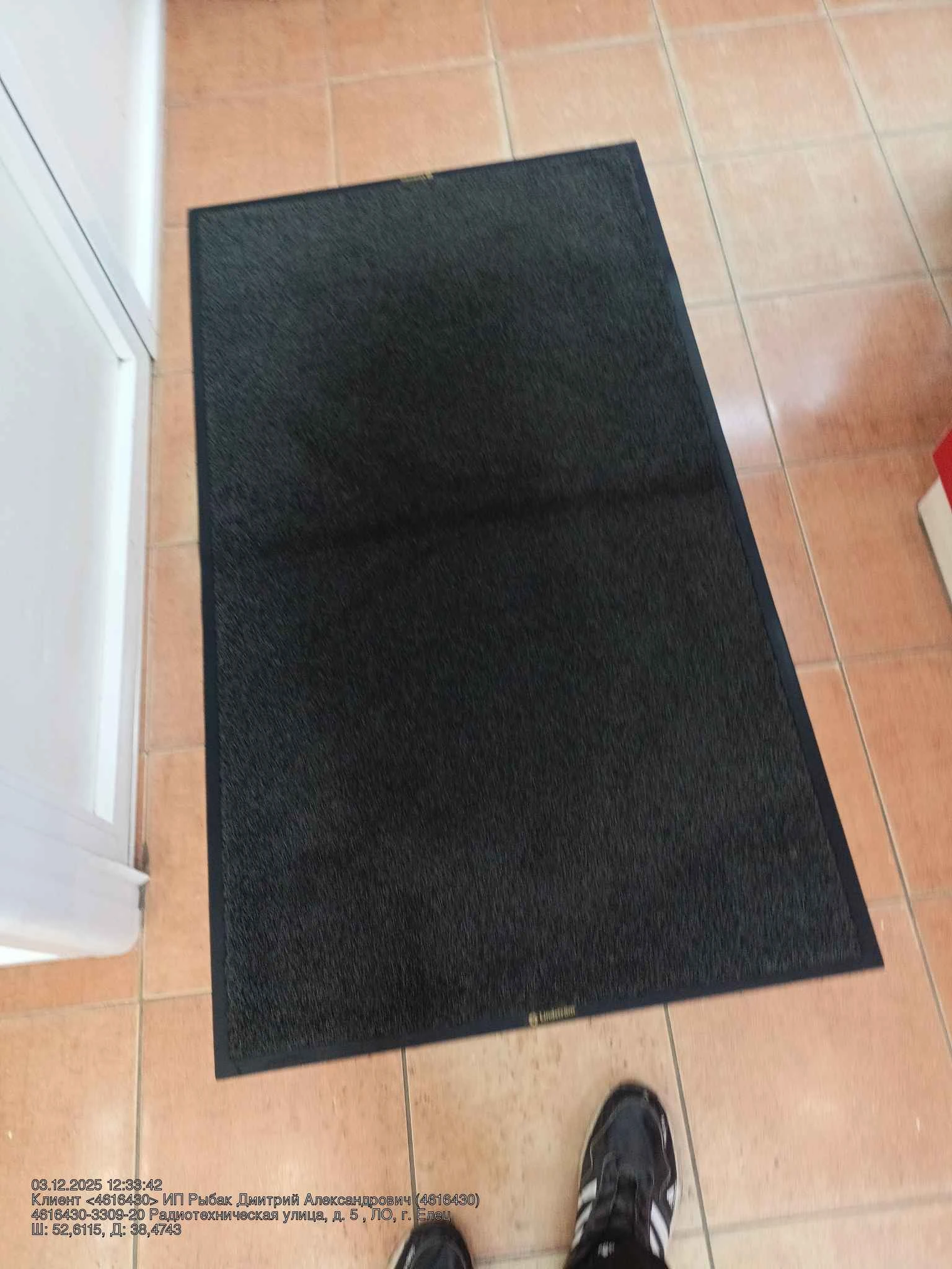 Ковры в ветклинике