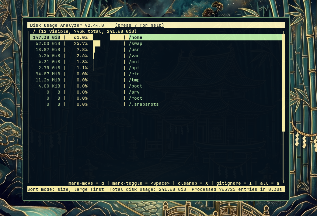 Disk usage TUI