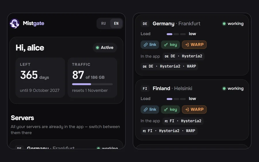 The person's page on a phone: days left, traffic, and the servers in their app