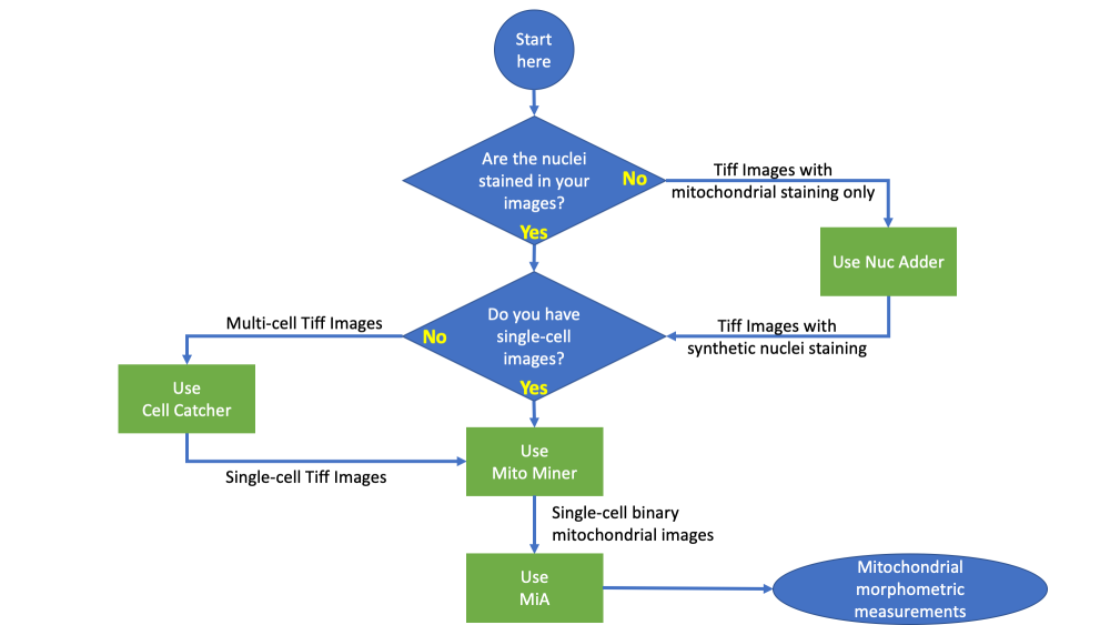 GitHub - Mitogenie/Mito-Hacker: Cellular Mitochondrial Analysis · GitHub