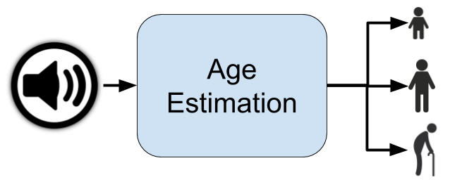 Age Estimation