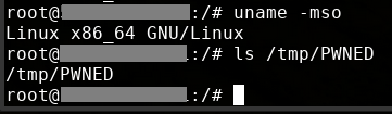Exploitation result (lin) image