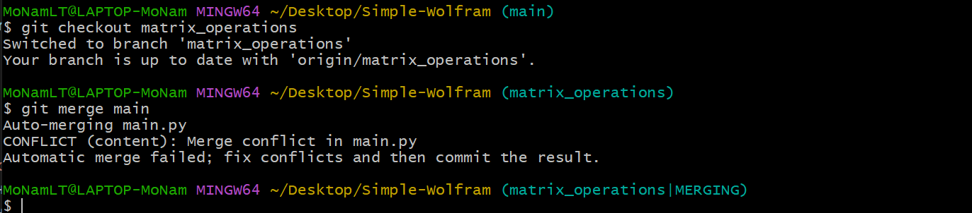 branch merge conflict 1