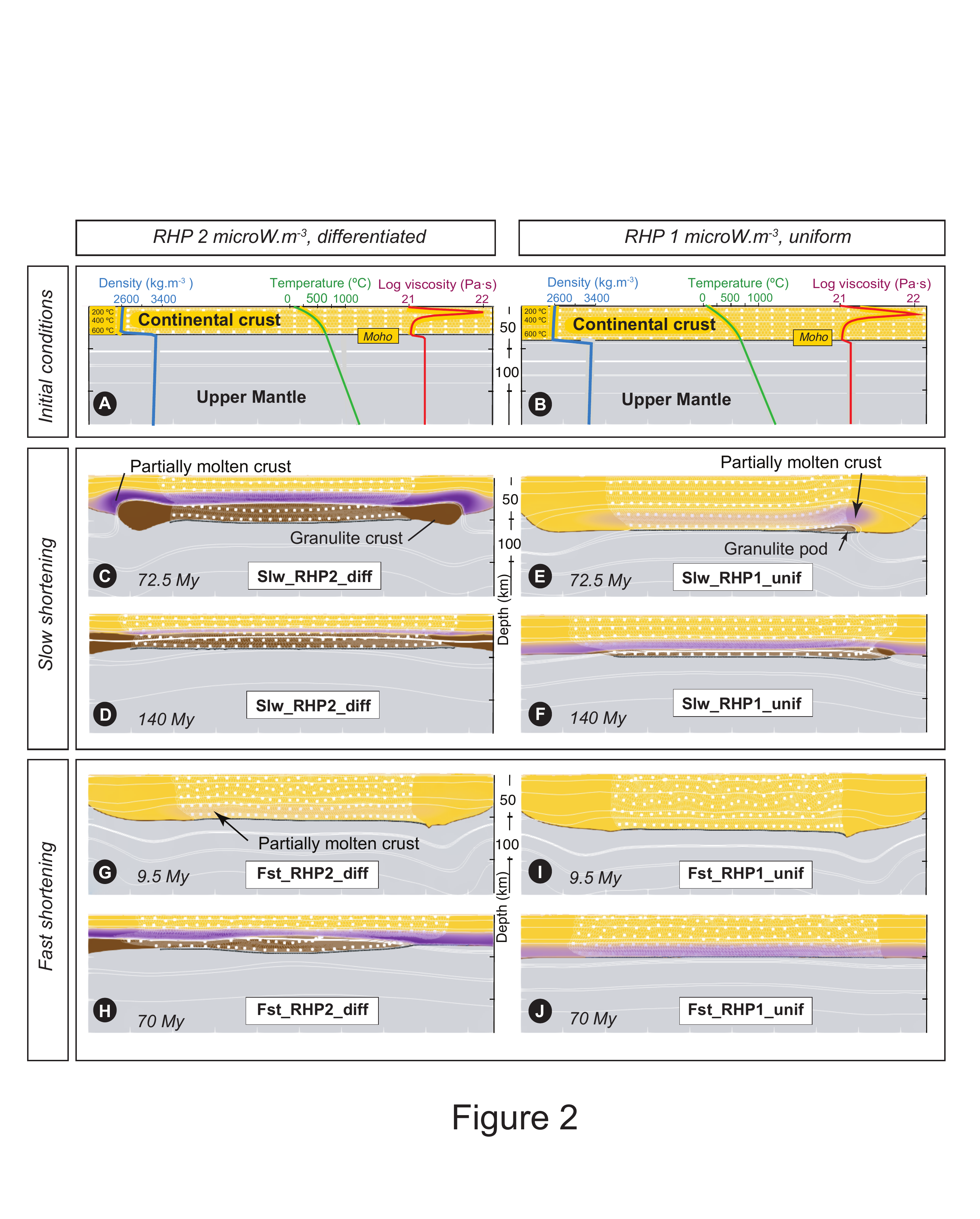 Timing of partial melting and granulite formation during the genesis of high to ultra‐high temperature terranes: Insight from numerical experiments