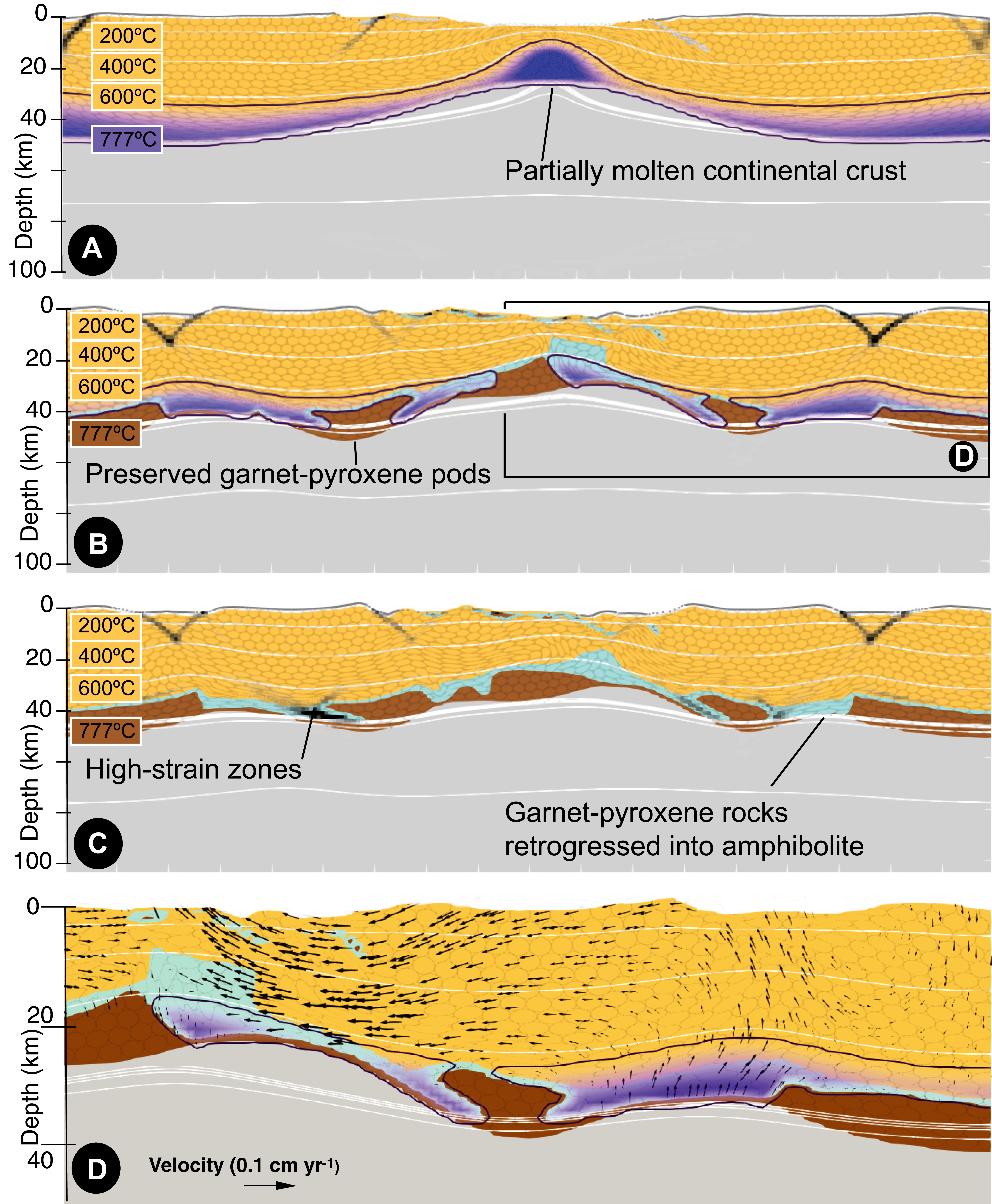 Strain and retrogression partitioning explain long-term stability of crustal roots in stable continents